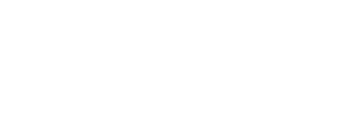 EZGO 飛凰物流官方白 Logo